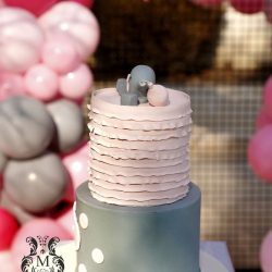 خدمات مجالس تولد
